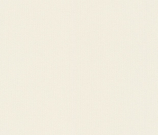 Виниловые обои Allegretto 424010 Обои Rasch (Allegretto) (1*12) 10,05x0,53 винил на флизелине