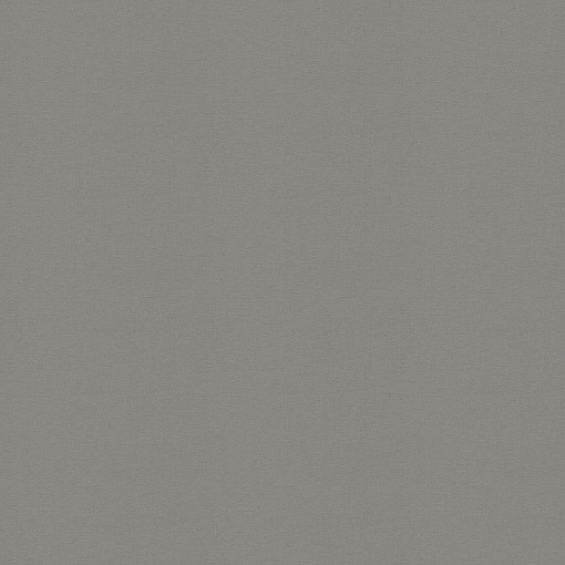448627 Обои Rasch (Allegretto) (1*12) 10,05x0,53 винил на флизелине