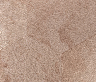 Виниловые обои Philipp Plein Обои PHILIPP PLEIN  Z 80007