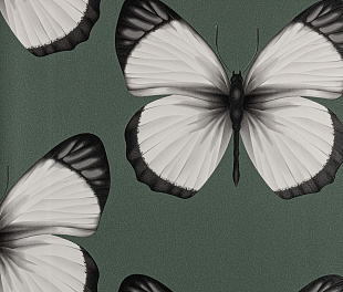 Виниловые обои Cheradi Обои Andrea Rossi Cheradi 54401-5