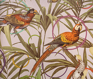 Виниловые обои Dolce Vita Обои  Alessandro Allori RDV 2401-3