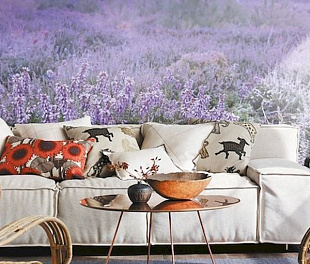 Обои Affresco Affresco id13449