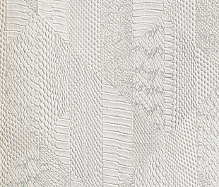 Виниловые обои Roberto Cavalli Обои  Roberto Cavalli RC 19068