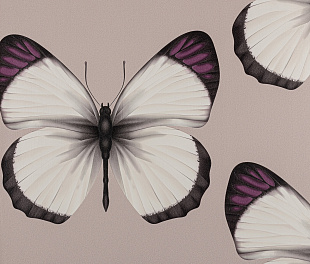 Виниловые обои Cheradi Обои Andrea Rossi Cheradi 54401-7