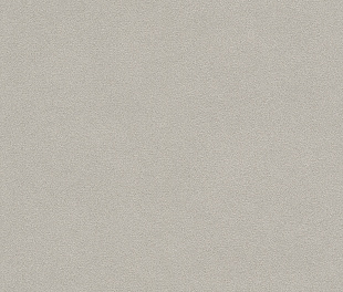 Виниловые обои Allegretto 479409 Обои Rasch (Allegretto) (1*12) 10,05x0,53 винил на флизелине